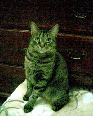 image007.jpg